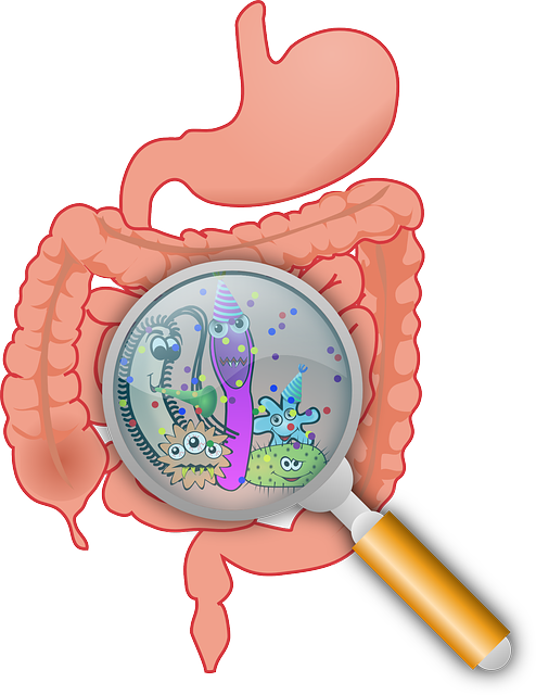 What is the importance of the gut-brain axis?