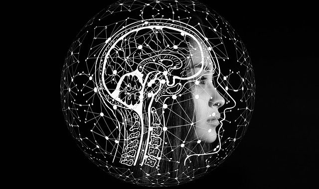 Brain biology inspires new AI