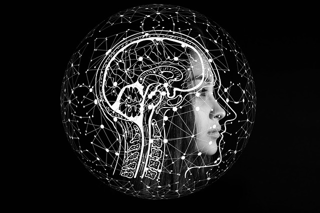 Brain biology inspires new AI