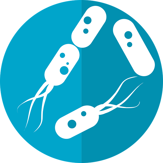 Human microbiome creates new proteins essential for health