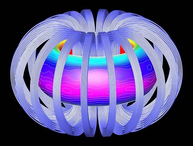 Study shows that blocking EMF improves autoimmune diseases