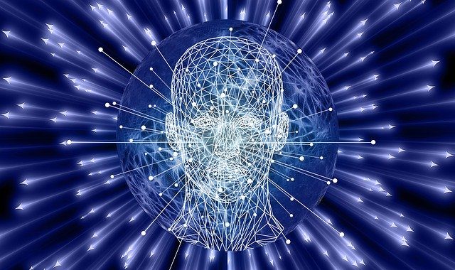 The quest for consciousness