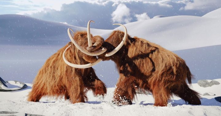 De-Extinction Dilemma: Weighing the Costs and Benefits of Reviving the Woolly Mammoth