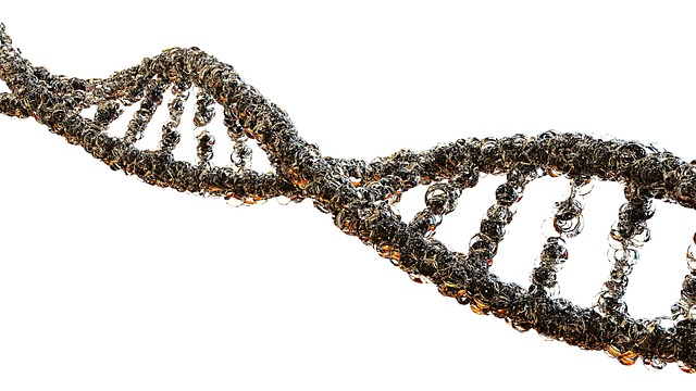 This Ambitious Project Wants to Sequence the DNA of All Complex Life on Earth